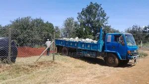 Isuzu FTR (Forward)