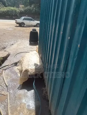Spece for Rent in Dagoreti Corner