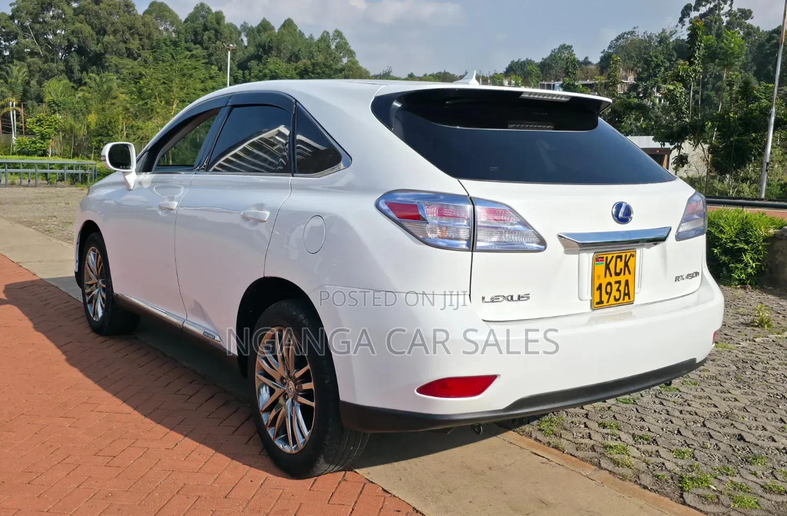 Lexus RX 2010 White