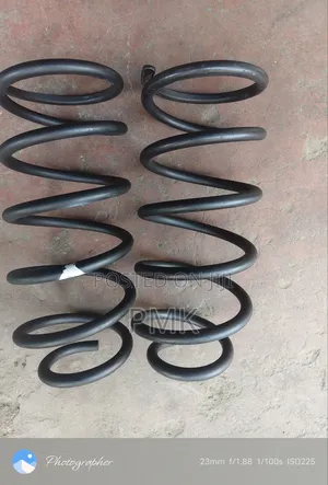 Prado J95 Rear Springs