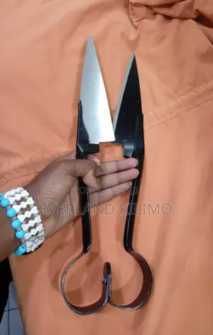 Double Blade Economy Shearing Sheep Shears