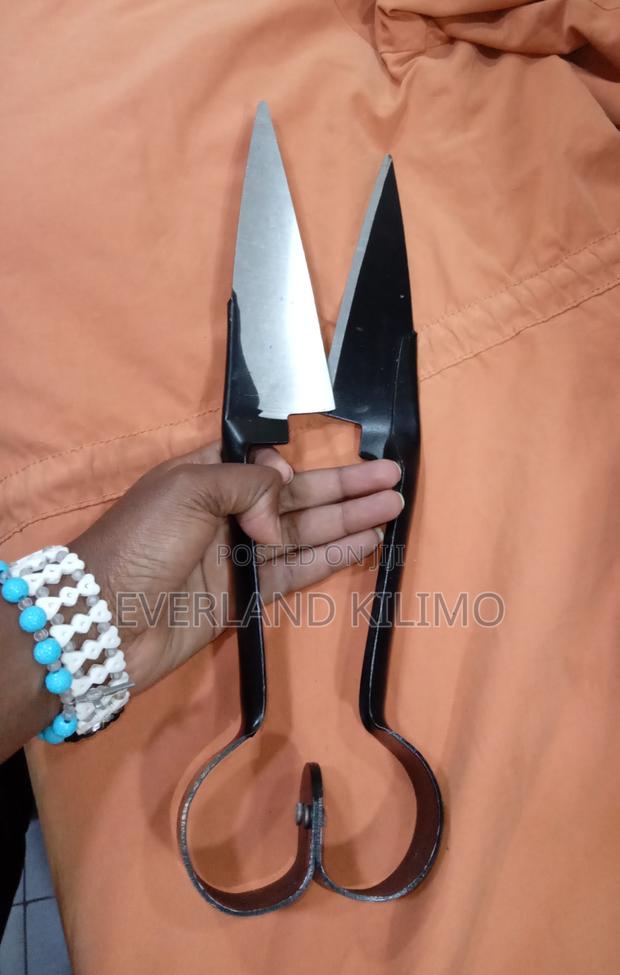 Double Blade Economy Shearing Sheep Shears
