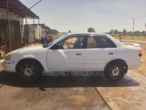 Toyota Corolla 1999 White
