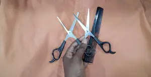 2 Pais Scissors Kit for Dogs and Cats