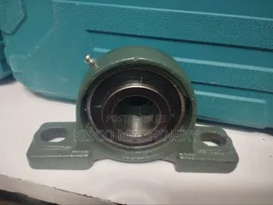 Pillow Bearing/P207 Bearing
