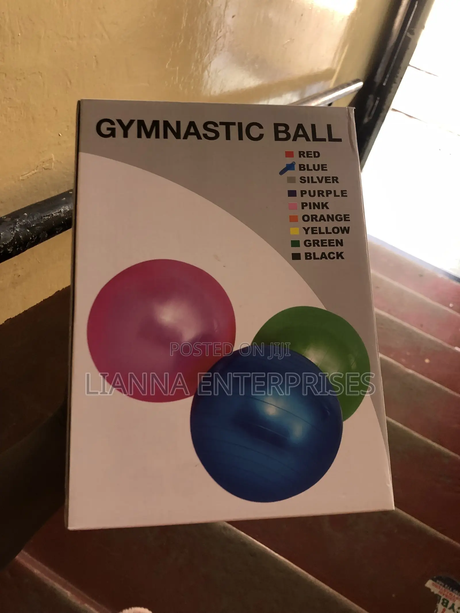Gymnastic Ball
