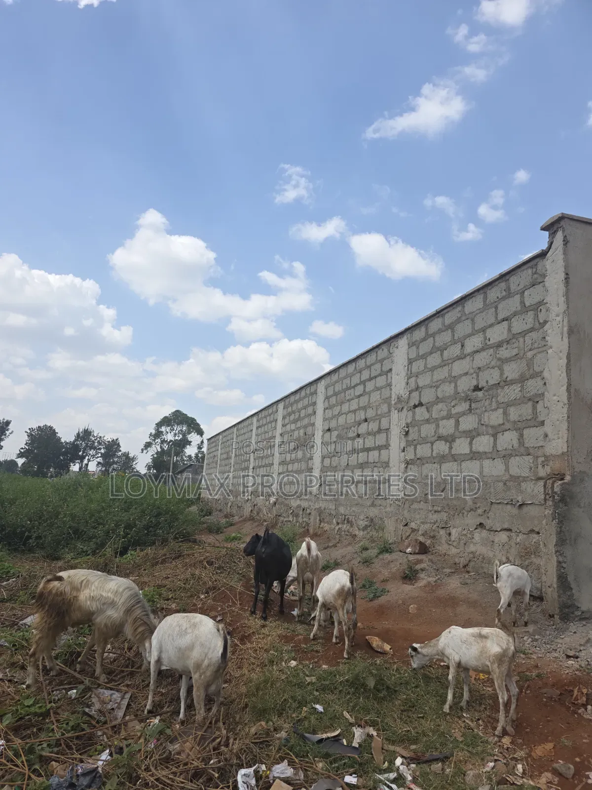 Distressed 100/100 Commercial Plot Touching Thika Super Highway.