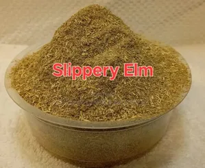 Slippery Elm