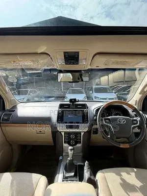 Toyota Land Cruiser Prado 2019 Gray