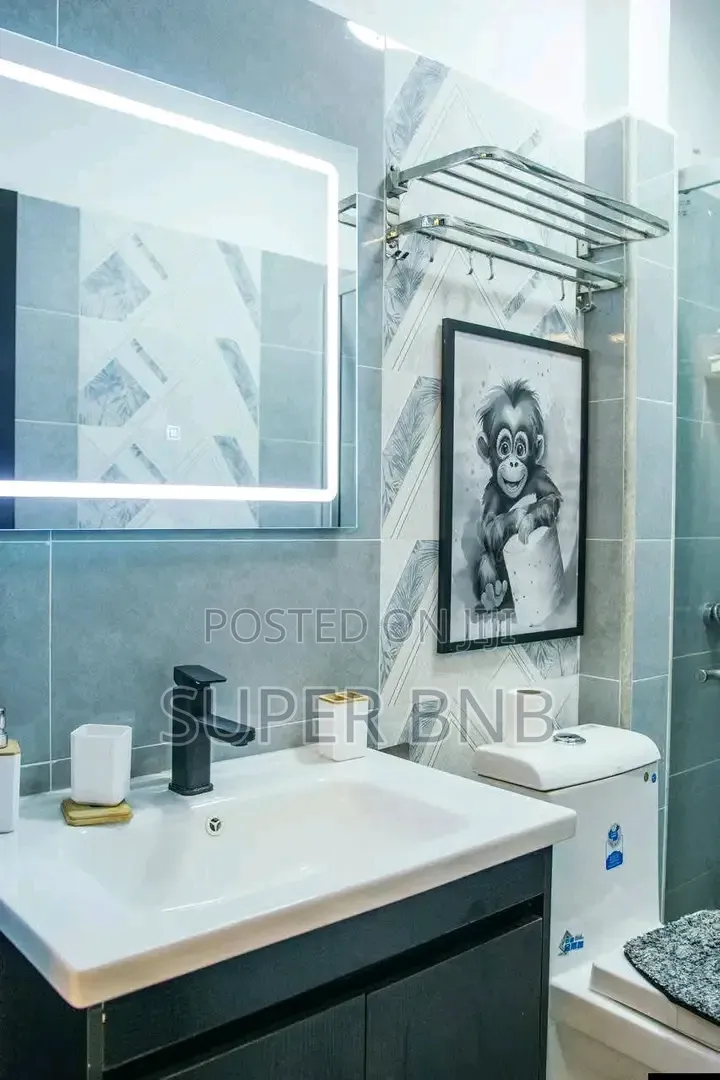Lavington One Bedroom Furnished Apartments Ready Immediate Check In