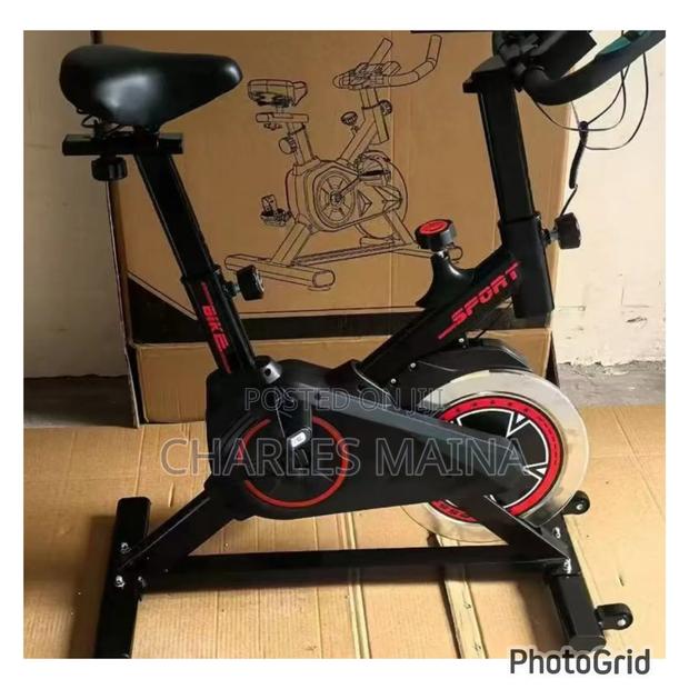 Sport Spine Bike - main view