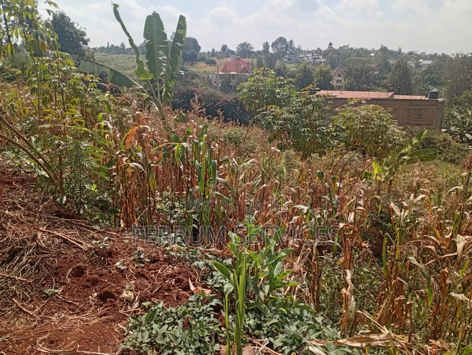 Land for Sale