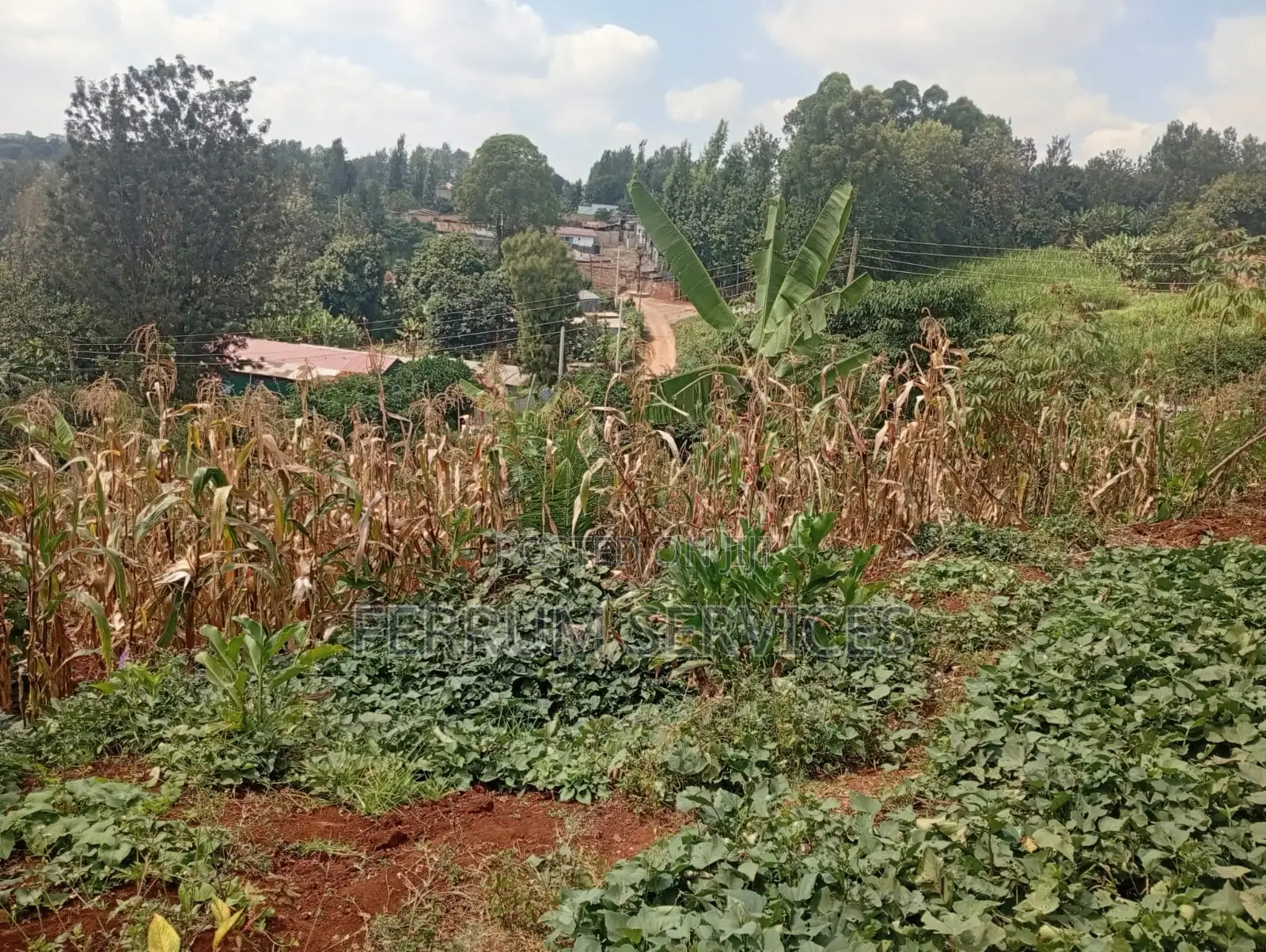Land for Sale