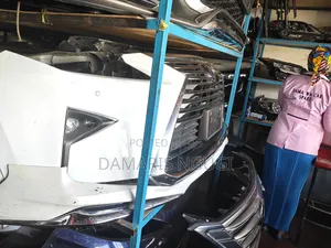Lexus Rx Nosecut 2018/2019 Model