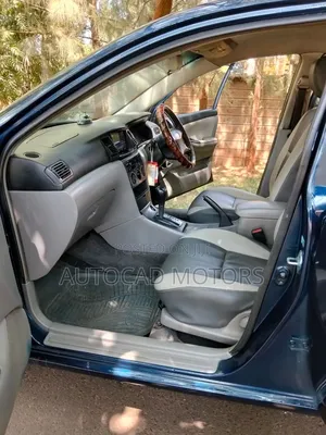 Toyota Corolla 2003 Blue