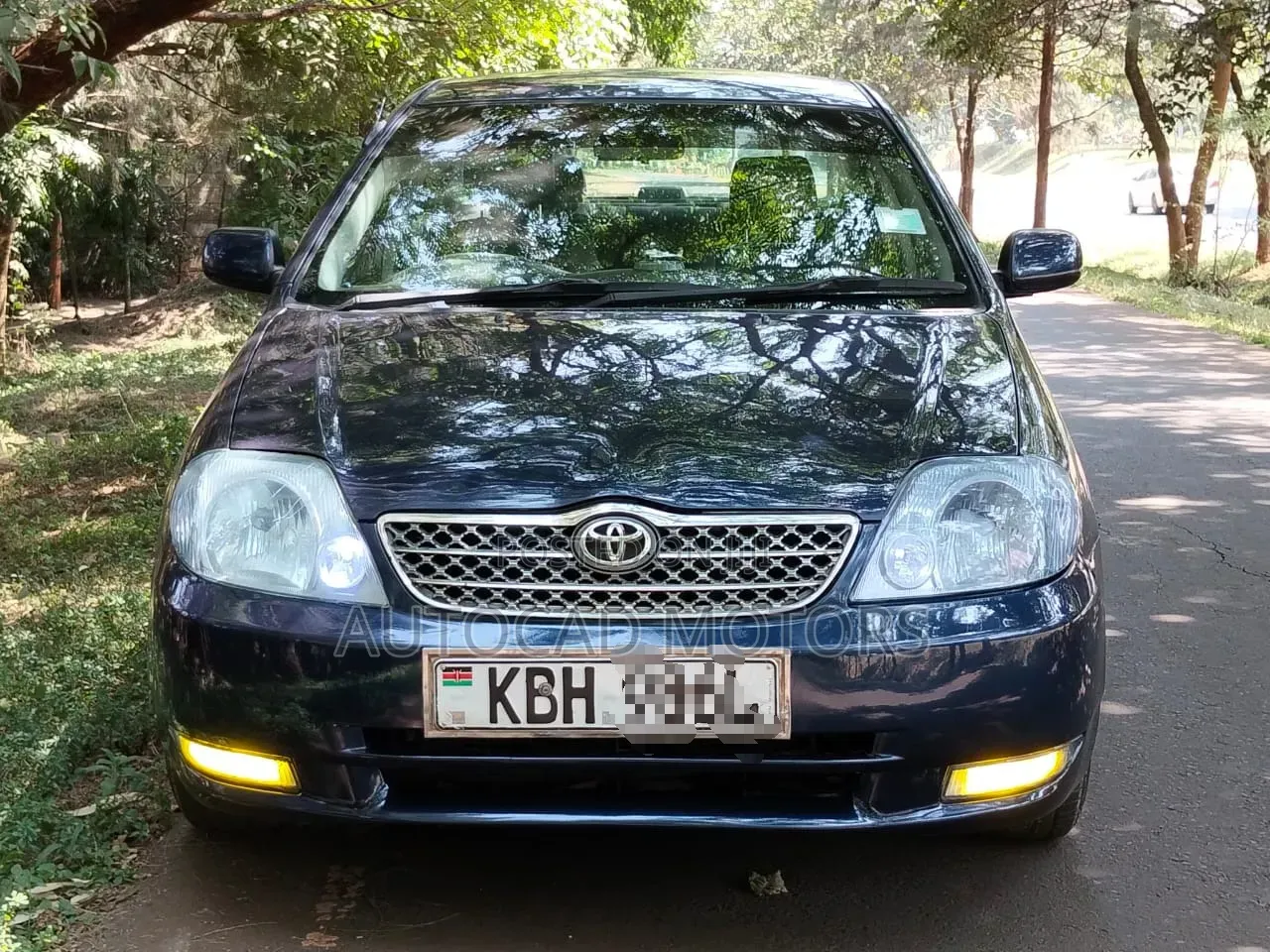 Toyota Corolla 2003 Blue