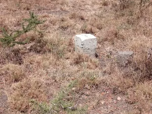 1/8 Plot Near Enkacity Primary