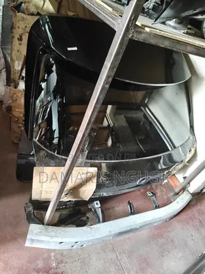 Lexus Rx Boot 2018/2019 Model