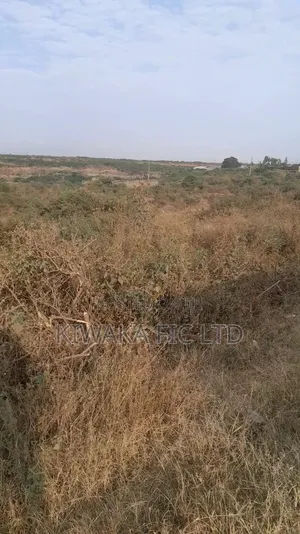 100 Acres Fronting Juja Farm Road for Sale