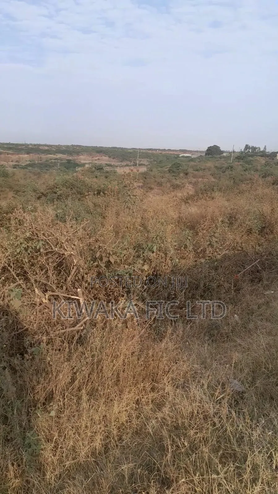 100 Acres Fronting Juja Farm Road for Sale