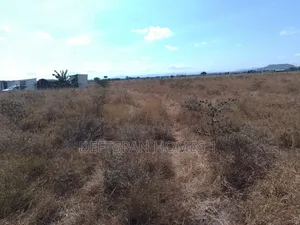 50 by 100 Plot Selling at Kantafu 50 MTRS