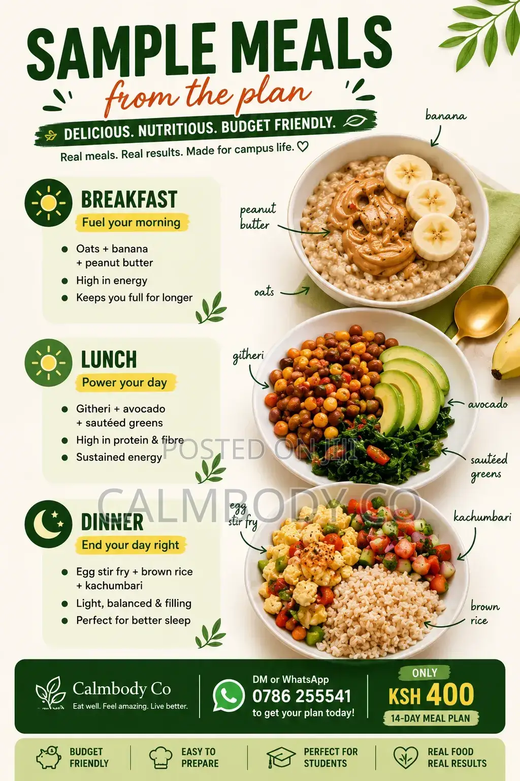 Campus Kitchen Budget Meal Plan For Students (Pdf)