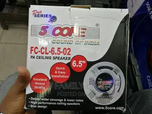 5 Core PA Ceiling Speaker