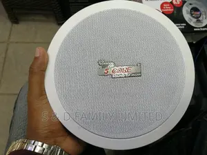 5 Core PA Ceiling Speaker