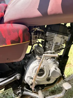 Bajaj Boxer 2022 Blue