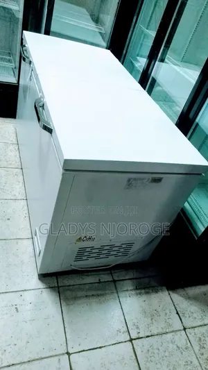 Ramdons 500l Freezer