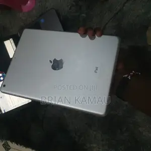 Apple iPad Pro 32 GB Gray