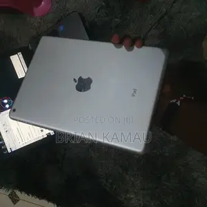 Apple iPad Pro 32 GB Gray