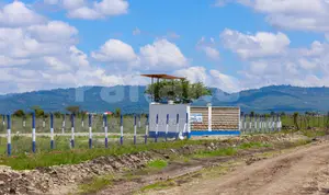 50/100 Plots for Sale in Malaa
