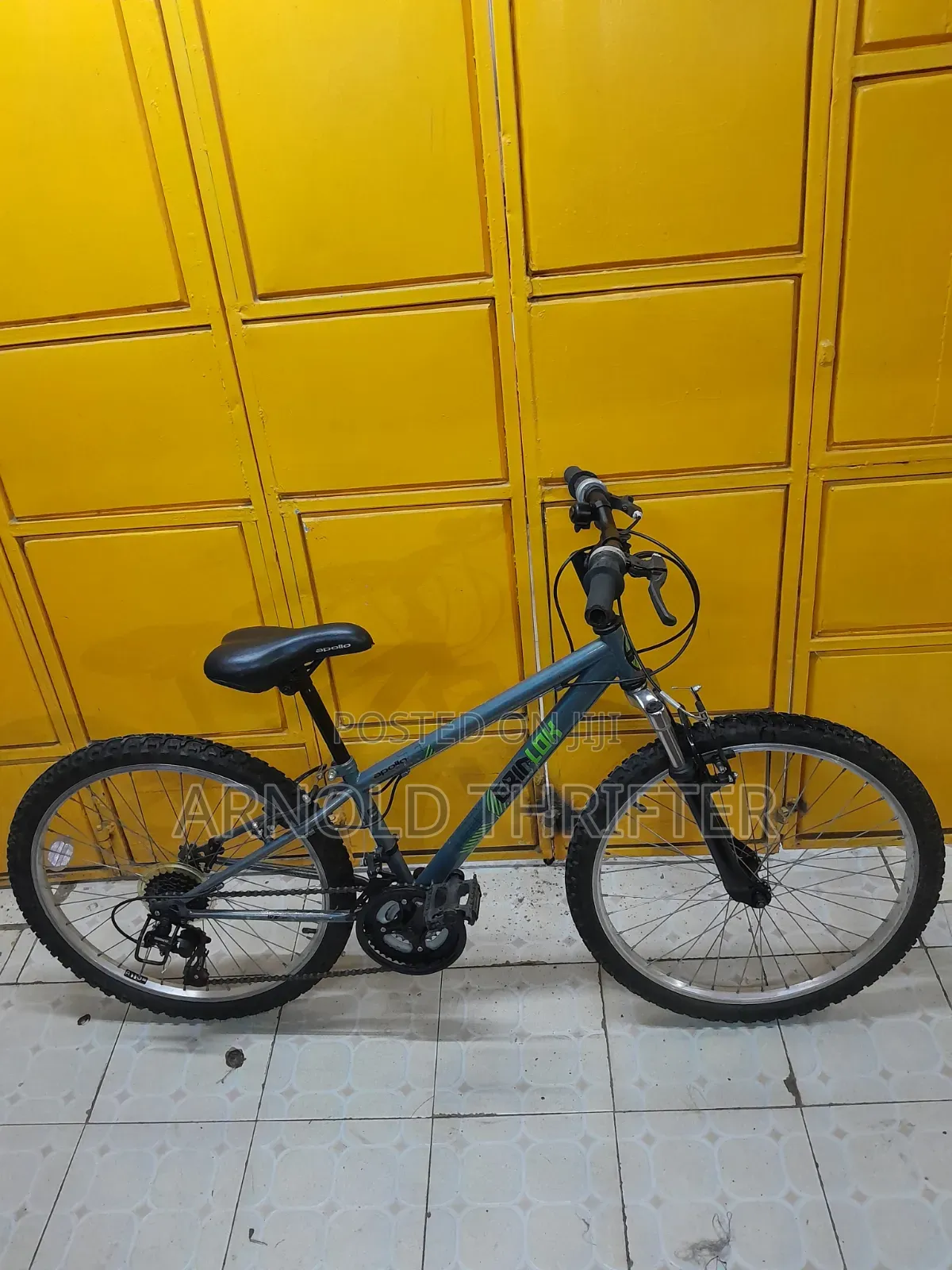 Ex Usa Bicycle