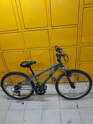 Ex Usa Bicycle
