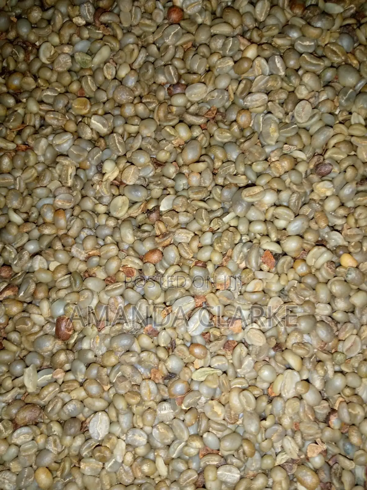 Mbuni Coffee Beans (Kenya Mh)