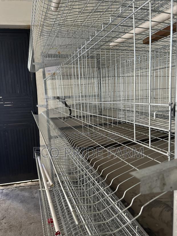 Battery Cages (H-Type) - thumbnail 2