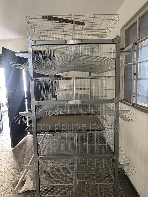 Battery Cages (H-Type) - thumbnail 5
