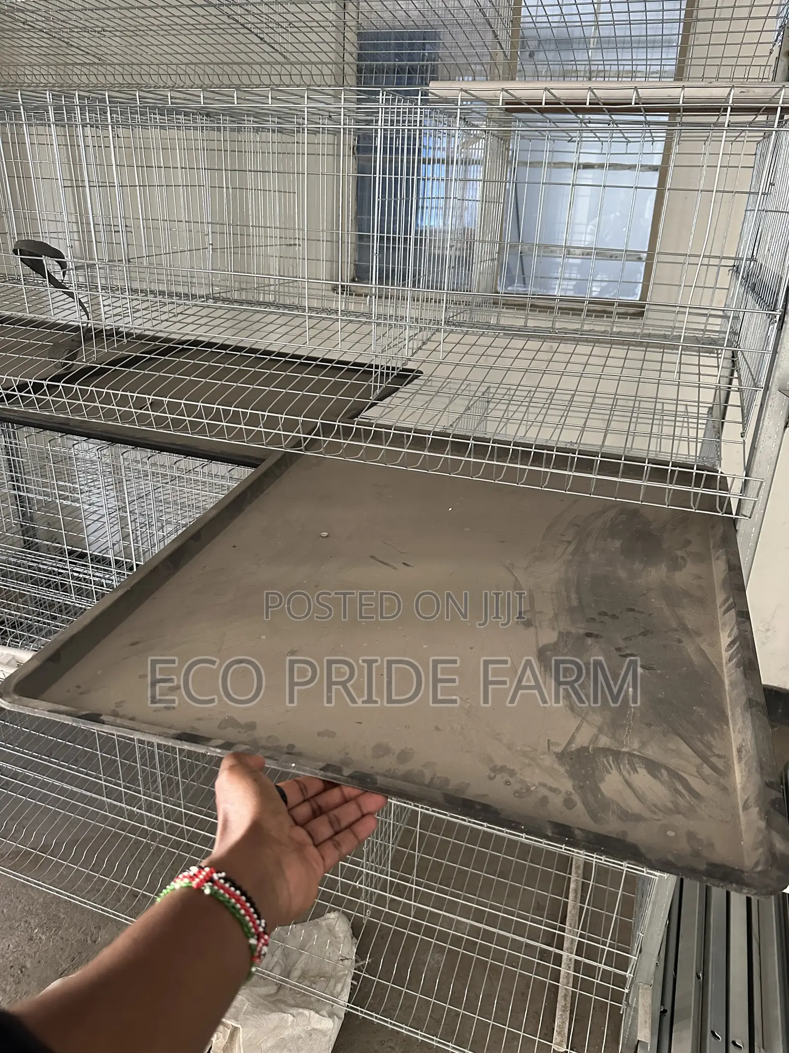 Battery Cages (H-Type)
