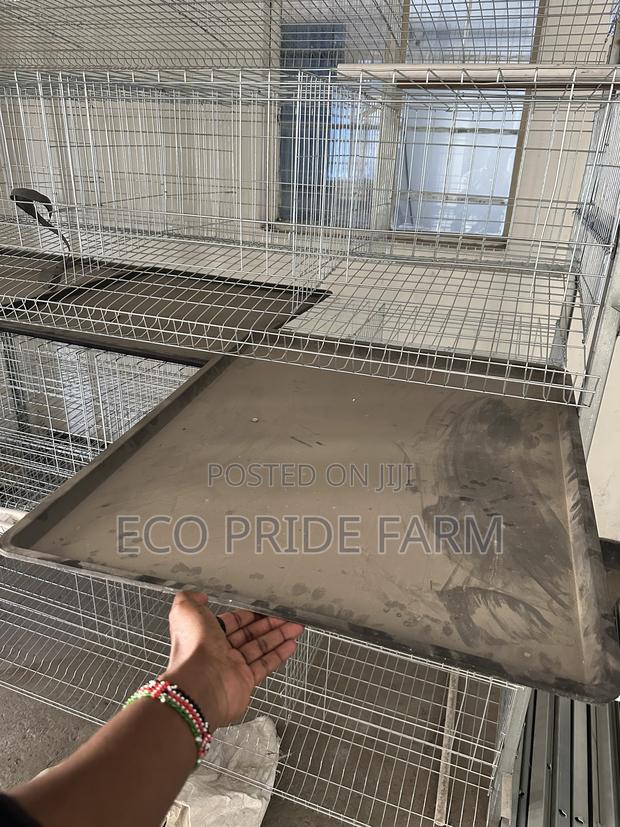 Battery Cages (H-Type) - thumbnail 6