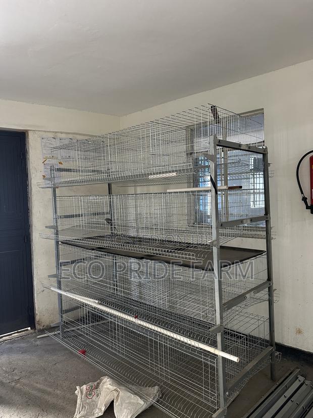 Battery Cages (H-Type)