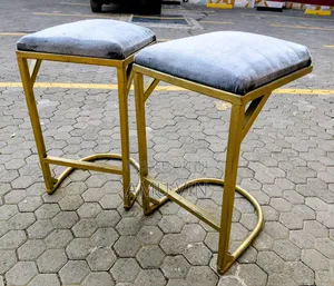 Raised Bar Stool / Seat / Chair