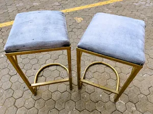 Raised Bar Stool / Seat / Chair