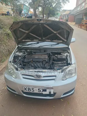 Toyota Corolla RunX 2006 Silver