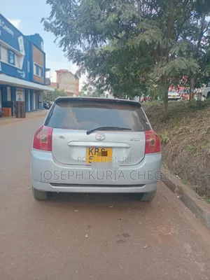 Toyota Corolla RunX 2006 Silver