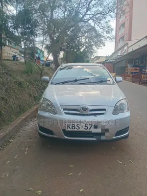 Toyota Corolla RunX 2006 Silver