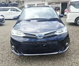 Toyota Corolla Fielder 1.5 Petrol FWD 2019 Black