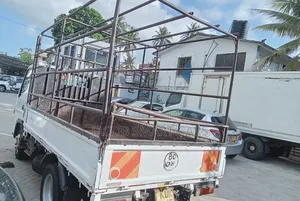 Mini Truck