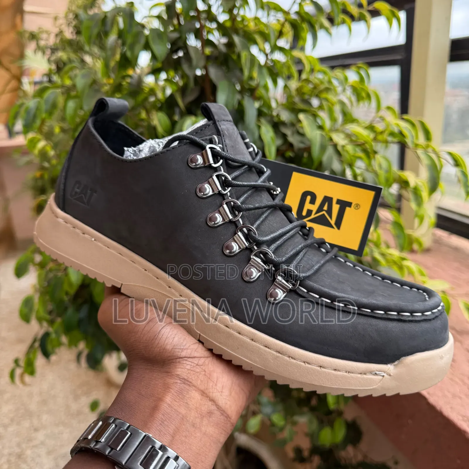 Black Lowcut Cats