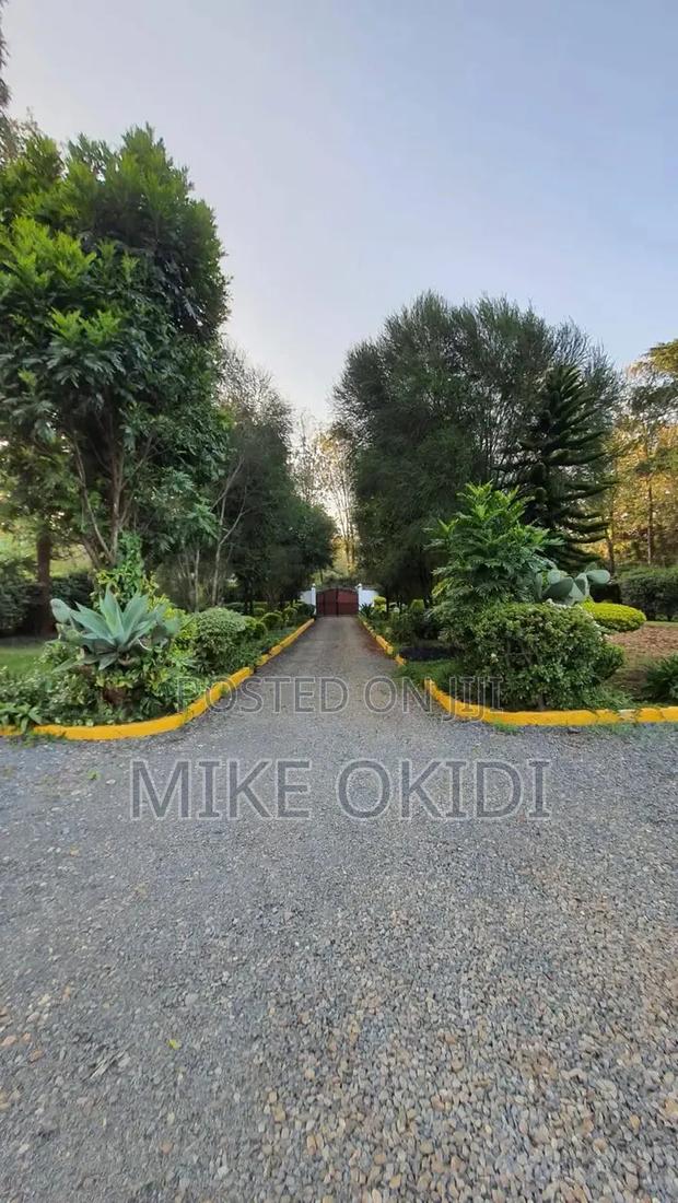 5bdrm Mansion in Mutero, Hardy for rent - thumbnail 4